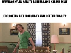 Are you challenging me Meme Template