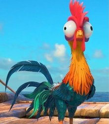 Hei Hei Meme Template