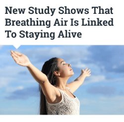 Breathing Air Meme Template
