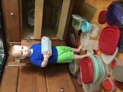 Carter Meme Template