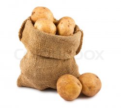 Sack of Potatoes Meme Template