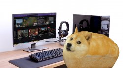 bread doge in computer template Meme Template