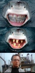 Shark Teeth Meme Template