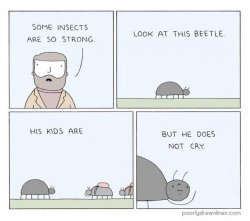 Some Insects are so Strong [Correct Text Position] Meme Template