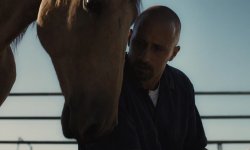 Horse Whisperer Meme Template