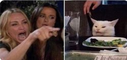 Angry women yelling at confused cat at dinner table Meme Template