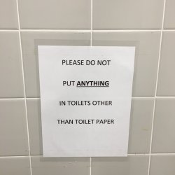 Please do not put anything in toilets other than toilet paper Meme Template