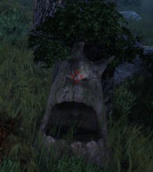 Surprised tree stump Meme Template