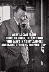 EU Fun Meme Template