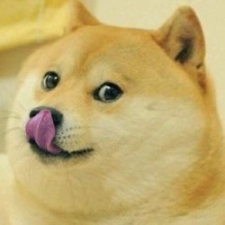 Doge Tongue Meme Template
