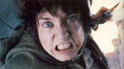 frodo mad Meme Template