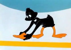 Daffy Duck Picking Up His Beak Meme Template