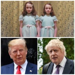 Shining twins trump & Boris Meme Template