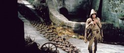 Pied Piper Meme Template