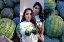 watermelons dangdut Meme Template