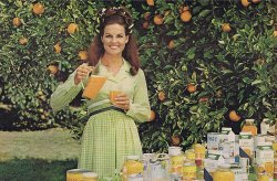 Anita Bryant Meme Template