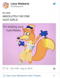 the Vsco girls are rising Meme Template