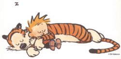 Calvin and Hobbes Meme Template