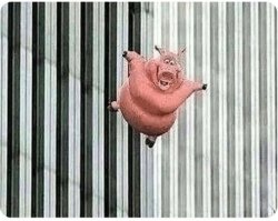Pig jumping off Meme Template