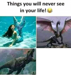 Things you will never see in your life Meme Template
