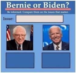 Bernie or Biden Meme Template