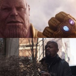 Thanos snaps Meme Template