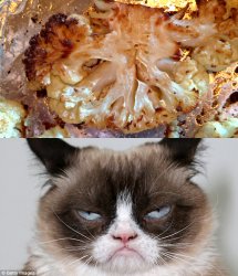 Grumpy Cauliflower Meme Template