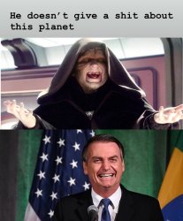 Bolsonaro Meme Template