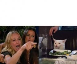 Lady and CAT in table Meme Template