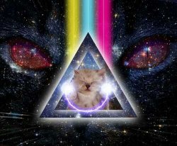 Triangle space cats Meme Template