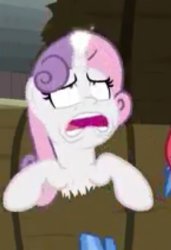 SWEETIE BELLE WITH SEX!!! Meme Template