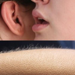 goosebumps Meme Template