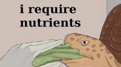 i  r e q u i r e  n u t r i e n t s Meme Template