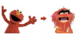 animal vs elmo Meme Template