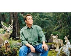 Schwarzenegger Meme Template
