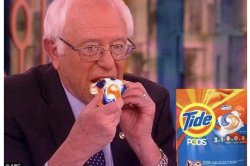 Bernie Eat Tide Pod Meme Template