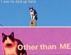 No god other than me cat Meme Template