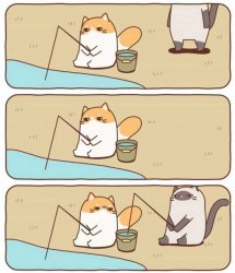 Cat Fishing Meme Template