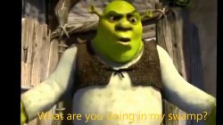 What are you doing in my swamp? Meme Template