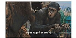 apes together strong Meme Template