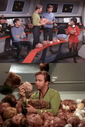 Too Many Tribbles Meme Template