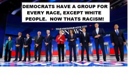 Democrats racist against white people Meme Template