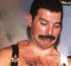 Freddie Mercury Funny Face Meme Template