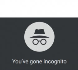 You've gone incognito Meme Template