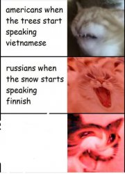 Screaming cats Meme Template
