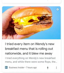 I tried every Wendy's breakfast item Meme Template