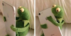 Kermit hugging his phone Meme Template