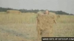 hay Meme Template