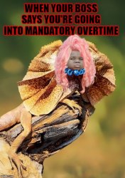 til further notice Meme Template