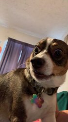 Whatca talking about?! Meme Template